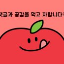 55베이킹스튜디오 이미지