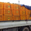 효정농장 이미지