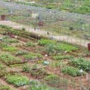 광명농장 이미지