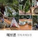 삼수령전통주 이미지