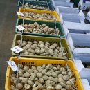 버섯마루 이미지