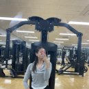 다시내보 이미지