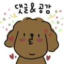 수원-0295 이미지