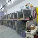 마이펫 룸 이미지