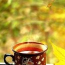 이모네설렁탕 이미지