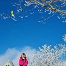 장성삼거리입구 공원 이미지