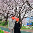 복대주은 | #부부의 데이트 : 매년 맞이하는 꽃시간들(대저생태공원, 삼락생태공원, 명륜진사갈비 부산엄궁점, 농협...