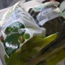 샘말농장 이미지