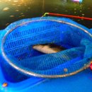 뚜루실내낚시놀이터 이미지