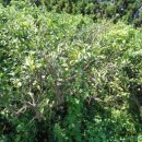 강정동-20 이미지