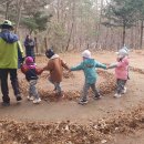 당림초등학교 병설유치원 Daum카페