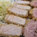 카츠정연 이미지