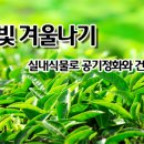 초록실내