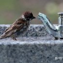 샛마을근린공원 이미지