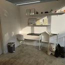 퍼피앤캣 이미지