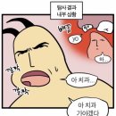캣앤캣 고양이 병원 네이버블로그