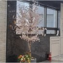 자이세탁크리닝 이미지