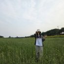 베스킨라빈스청주강내점 이미지