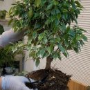 그린꽃식물원 이미지