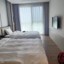 소노펠리체 델피노 이미지