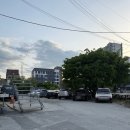 생목농장 | 춘천 만천리 대마돈가 햄프원료 추출물로 사육한 삼겹살