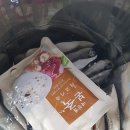 MVP합기도 네이버블로그