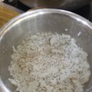 문출래감자탕 코다리찜 | [안산 초지동 맛집] 현지인 단골이 추천하는 찐 맛집, 별망시레기 감자탕 가족 외식 후기
