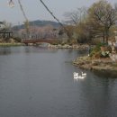 영산 연지 이미지