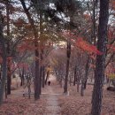 금북정맥 10차(아홉골고개ㅡ남산ㅡ백월산 ㅡ홍동산ㅡ수덕고개ㅡ덕숭산(수덕산) ㅡ나본들고개(45번국도) 11월 27일. 이미지