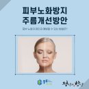 (주)블루메디텍 이미지