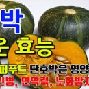 단호박 효능 안좋은 점 칼로리 한통 100g 많이 먹으면 이미지