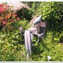 하이디 하우스 이미지