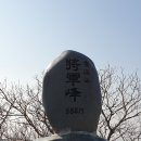 선암여자경로당 Daum카페