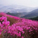 (주)산에들에 이미지