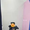러빗포토