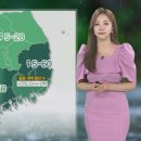 내륙 늦더위 속 소나기…동해안 최대 40㎜ 비 이미지