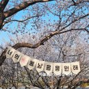 강서 낙동강30리 벚꽃축제(2025년) | 벚꽃 명소 제8회 강서 낙동강 30리 벚꽃축제 2025년 4월 부산 벚꽃터널 포토스팟