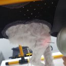 에스디(SD)동물의료센터,서울 | [서울/SD동물의료센터] 강아지 재활 후기