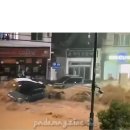 청계산 데이다라형님 이번 거제 사태 관련 선행 ㄷㄷ 이미지