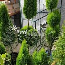 한달음한의원 이미지