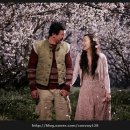 너는내운명 이미지