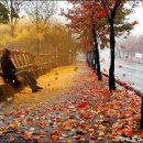 가을의 시 모음 이미지