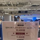 강릉길감자 탐스 팝업하네요 이미지