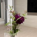 핑크드림작은도서관 | [일상] 한주기록 : 1006 - 1012