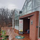 포레스트51 이미지