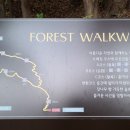 아난티펜트하우스서울 이미지