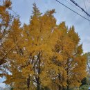 경기둘레길 김포58코스 이미지