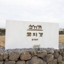 코지스테이 이미지