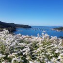 슬로시티청산도 이미지