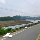 진안읍 1331 이미지